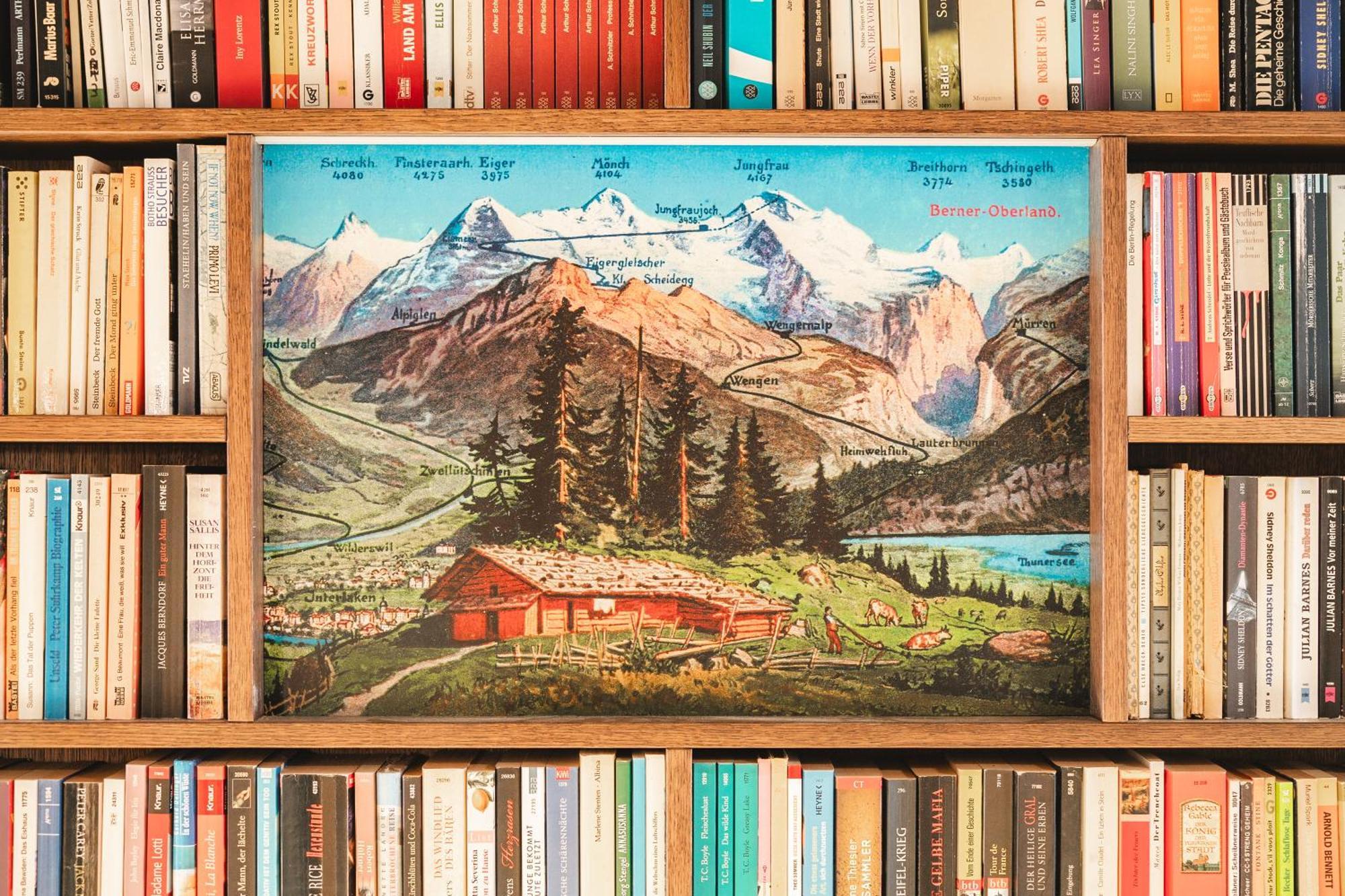 Braunbaer & - Former Alpine Sunstar Wengen