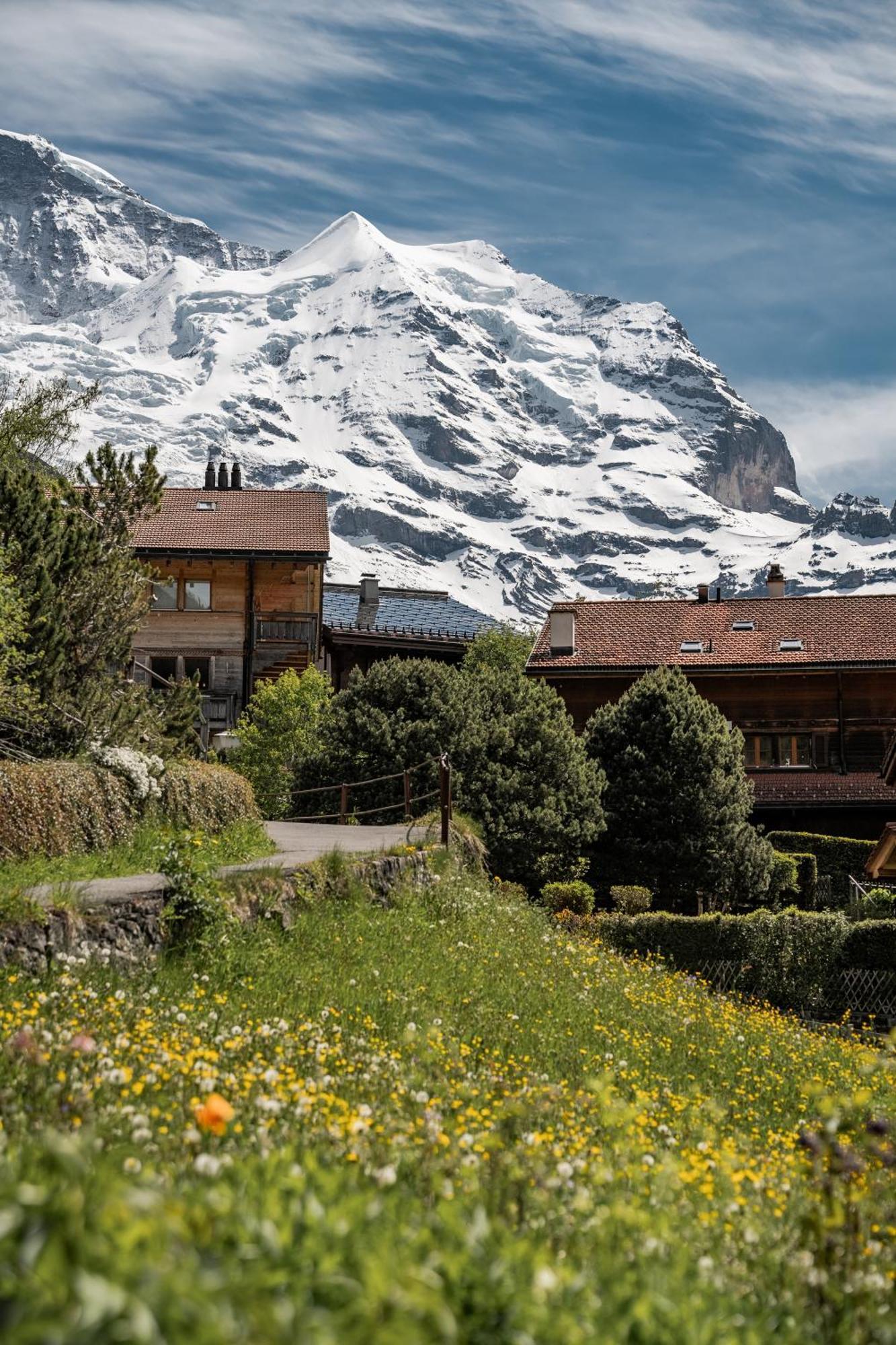 Braunbaer & - Former Alpine Sunstar Hotel Wengen