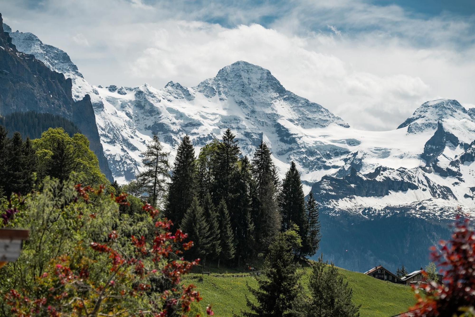 Hotel Braunbaer & - Former Alpine Sunstar Wengen
